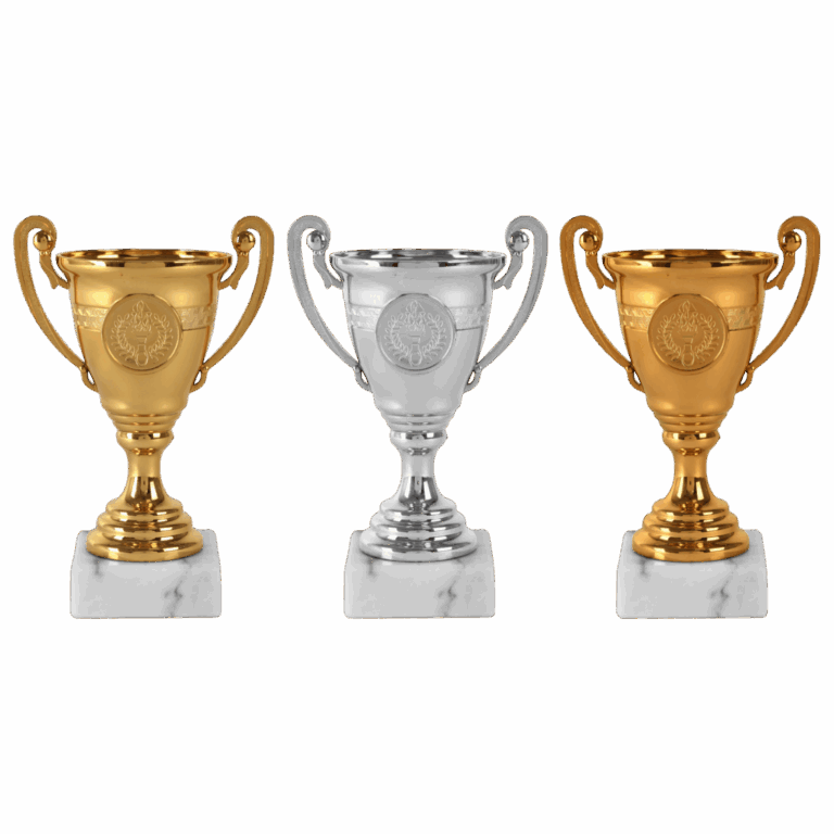 Leeflang sportprijzen
