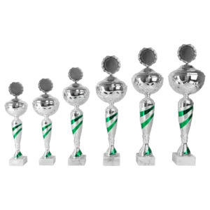 Leeflang sportprijzen