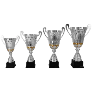 Leeflang sportprijzen