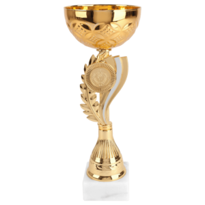 Leeflang Sportprijzen