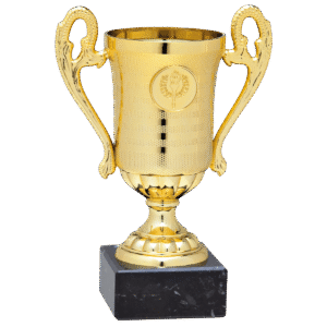 Leeflang Sportprijzen