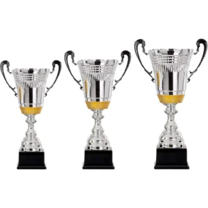 Zilverkleurige hoge beker